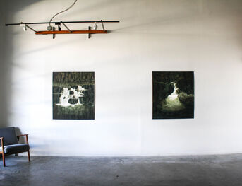 CATARACTS  |  Ripley Whiteside, installation view