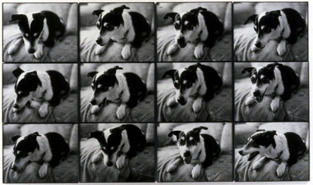 Jonathan Monk, ‘My mother's dog gets nervous when I go home’, 2002