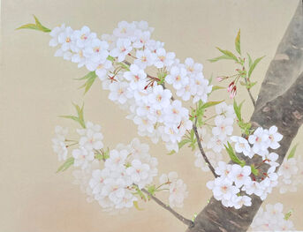 Mariko Yoshida, ‘ひさかた -For a long time-’, 2023