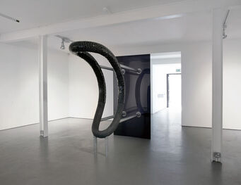 Charles Mason: Backsliding, installation view