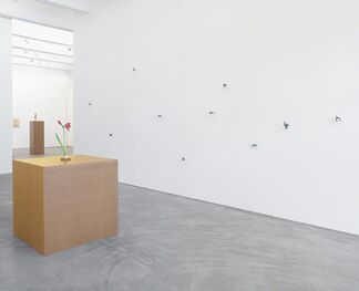 Efrain Almeida, installation view