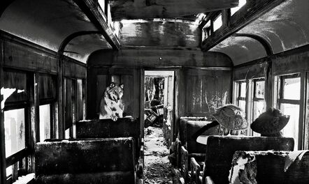 David Yarrow, ‘Ride The Ghost Train ’, 2015
