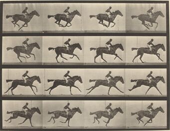 Eadweard Muybridge, ‘Animal Locomotion, Plate 626’, 1887