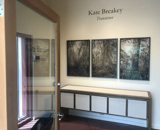 Kate Breakey: Transience, installation view