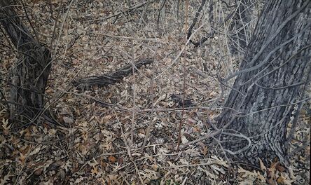 Jim Weidle, ‘Big Painting/Thicket’, 2022