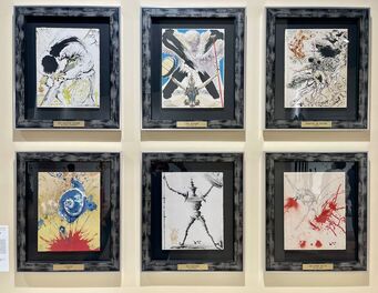 Don Quichotte. The story of a great book illustrated by Salvador Dali, installation view