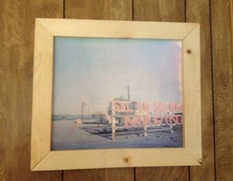 Bombay Beach Biennale Polaroid Exhibition curated by Stefanie Schneider, installation view