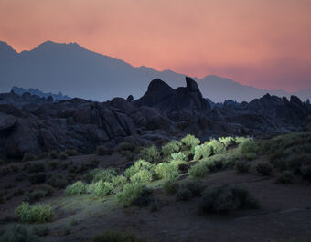 Kevin Cooley, ‘Lone Pine Fire’, 2017
