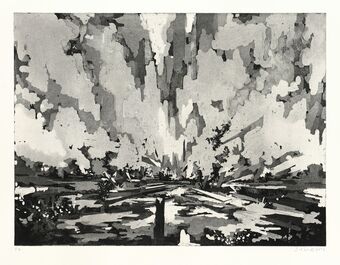 David Schnell, ‘Probe’, 2012