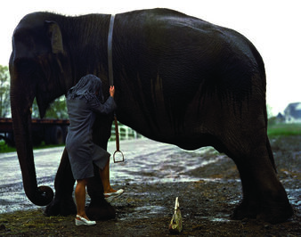 Liza May Post, ‘Trying’, 1998