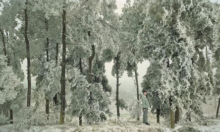 Chen Jiagang, ‘The Cold Forest’, 2008