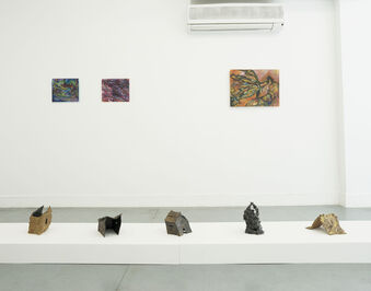 Erica Mao, Born from earth, installation view