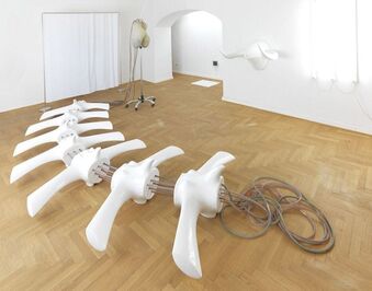 Damijan Kracina, ‘Sanitarium’, 2009