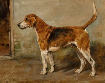 John Emms, ‘Ringwood’