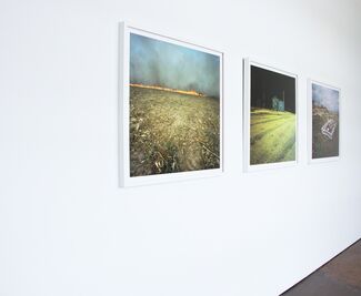 Vestige | Guest Curated by Jason Owen & Sam Easley, installation view