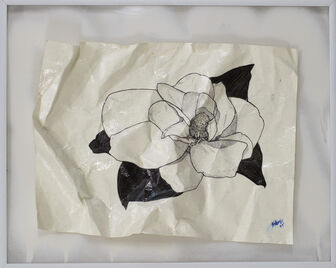 Pilar, ‘Magnolia’, 2022