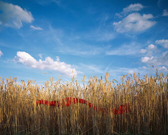 Eric Leleu, ‘Subtitles - Chapter 3-3’, 2013