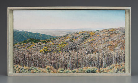 Lloyd Brown, ‘A View of the Sevier Desert from the Pahvant Range, Utah’, 2005