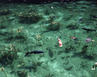 Risaku Suzuki, ‘Water Mirror 17, WM-707’, 2017