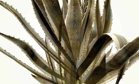 Mikel Covey, ‘Agave’, 2017