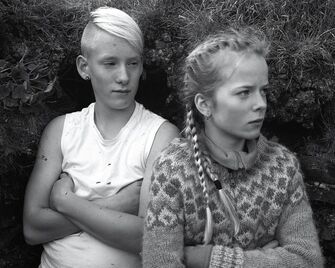 Agnieszka Sosnowska, ‘The Field Trip’, 2015