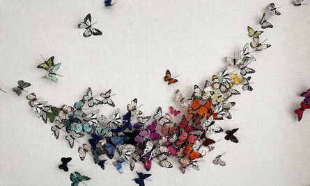 Juan Carlos Collada, ‘Untitled (Multicolor Butterflies)’, 2020