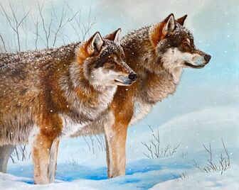 Esther van Hulsen, ‘Ready for the hunt - Grey Wolves’, 2023