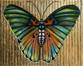 Karen Grosman, ‘Edwards Forester Butterfly’, 2023