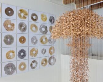 Cloud of Thorns, installation view