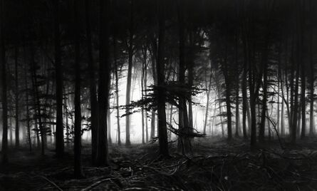 Robert Longo, ‘Untitled (Forest of Doxa)’, 2014