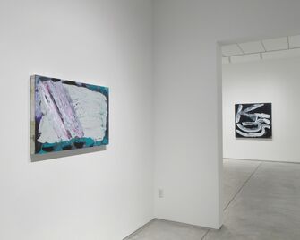 Dana Frankfort: there was a stone, installation view