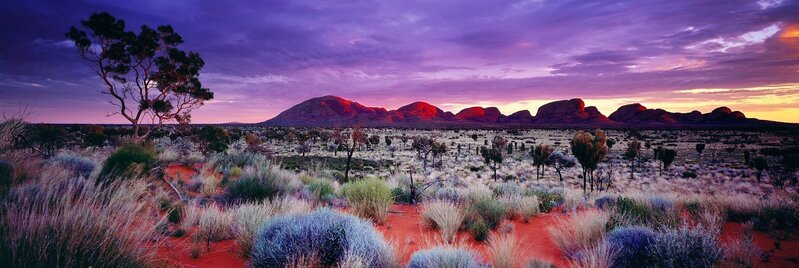 Peter Lik, ‘Painted Skies’, 2000, Photography, Cibachrome color print mounted on plexiglas, michael lisi / contemporary art