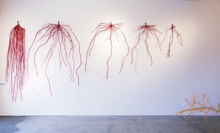 Dalya Luttwak, ‘Roots of Winter Wheat’, 2013