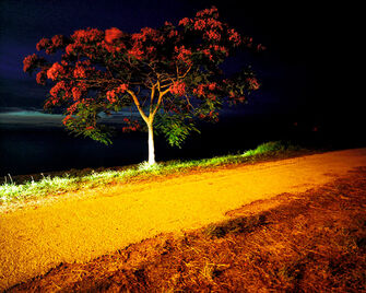 Kobi Israel, ‘No Through Roads, Untitled’, 2008