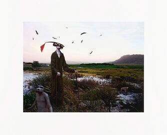 Jane Alexander, ‘Harbinger in Correctional Uniform, Lost Marsh’, 2007