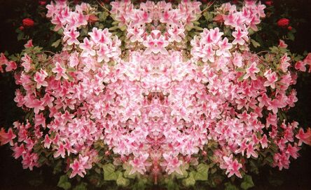 Ellen Stagg, ‘Flowers of Pink’, 2015