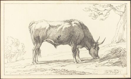 Hendrik Voogd, ‘A Cow Grazing’