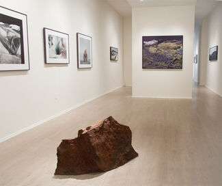 John Ruppert: The Iceland Project, installation view