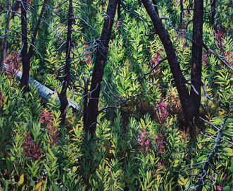 Erika Osborne, ‘For Sore Eyes’, 2022