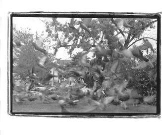 Jayme McLellan, ‘Soothsayer’, 1993/2023