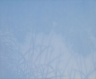 Hiroshi Onishi, ‘Waterscape I’, 2005