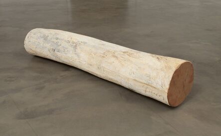 Robert Kinmont, ‘log covered with advice’, 2014
