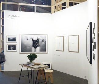 A.I. Gallery at Unseen Photo Fair 2016, installation view