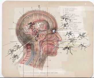 Michael Burban, ‘Block the Seven Entrances the Demons must not Reach the Inner Sanctum of the Temple’, 2023