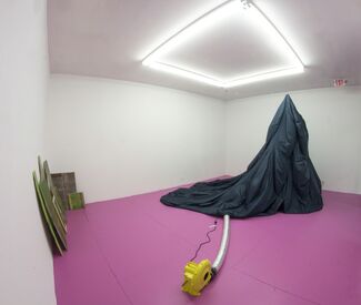 A Certain Shape, installation view