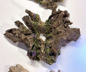 Garret Kane, ‘NeoGrowth 2’, 2020-2022