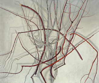 Pedro Surroca, ‘Obfuscation’, 2025