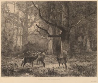 Karl Bodmer, ‘Forêt de Fontainebleau’