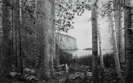 Hiroshi Sugimoto, ‘Northern Spruce-Fir Forest’, 2012
