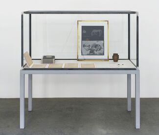 Joseph Beuys: I (I myself Iphigenia), installation view